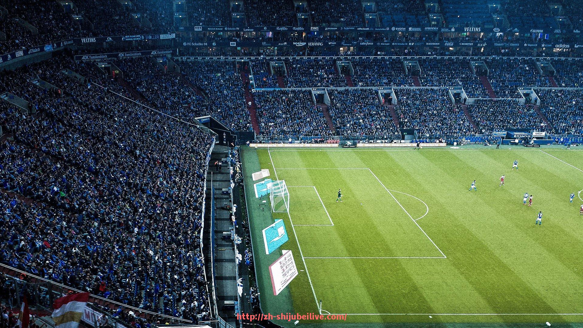 世俱杯直播-蔡振华对欧冠赛事发展的评论与体育交流